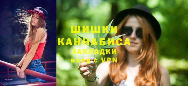 spice Богданович