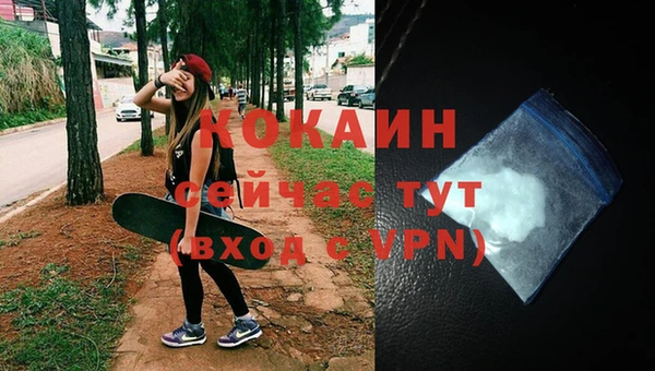 spice Богданович