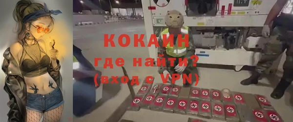 индика Богородск