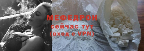 индика Богородск