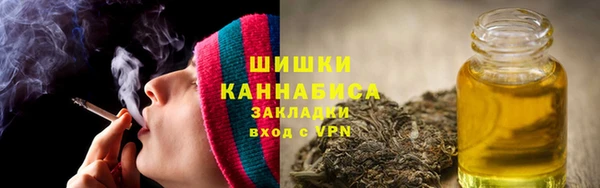 индика Богородск