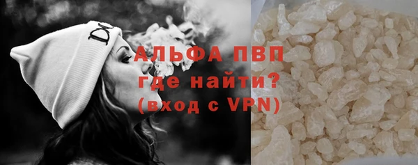 spice Богданович