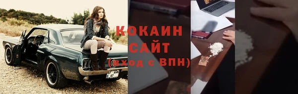 индика Богородск