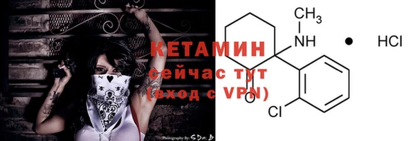 индика Богородск