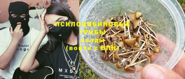 индика Богородск