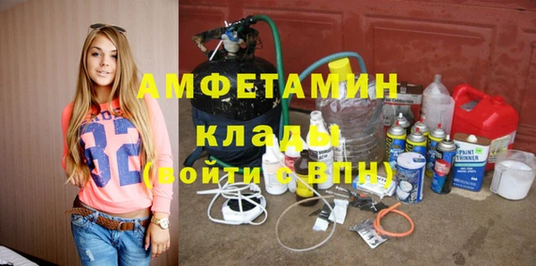 индика Богородск