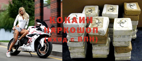 индика Богородск