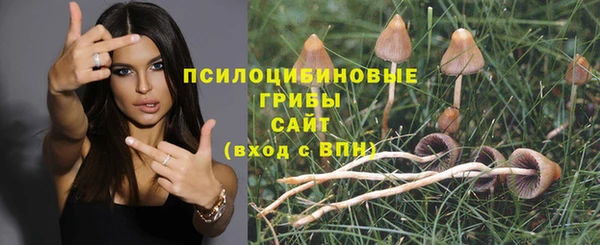 метамфетамин Богородицк