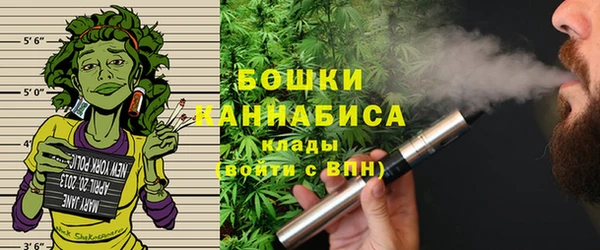 spice Богданович