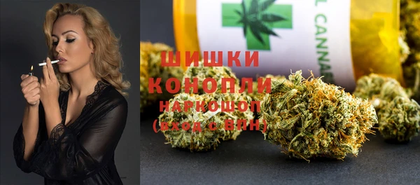 spice Богданович