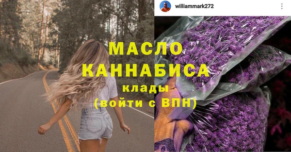 индика Богородск
