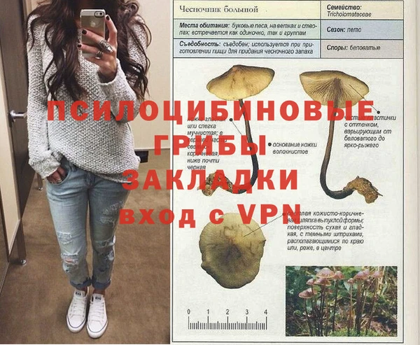 spice Богданович