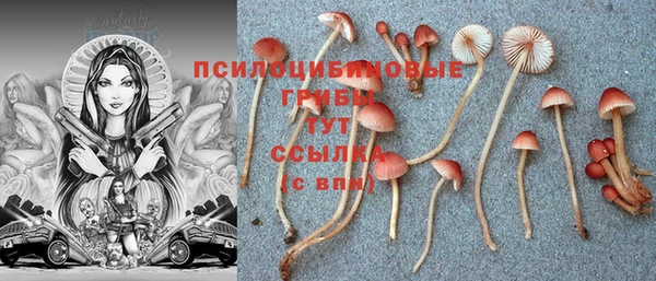 индика Богородск