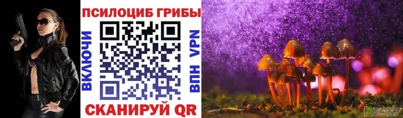 Псилоцибиновые грибы Psilocybe  Купить где  Слободской 