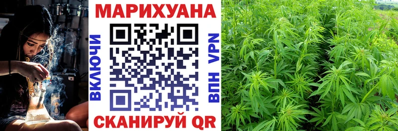 Канабис семена  Купить закладки  Слободской 